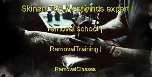Skinart The Westwinds expert removal school | RemovalTraining | RemovalClasses | SkinartTraining-Canada